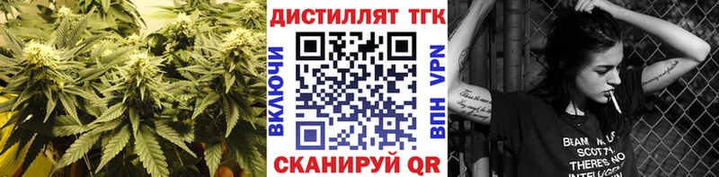 ТГК Wax Кандалакша