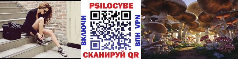 Псилоцибиновые грибы ЛСД Кандалакша