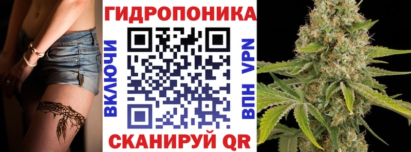 Конопля Ganja  блэк спрут вход  Кандалакша  где найти наркотики 